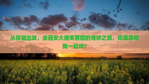 从常德出发，去西安大唐芙蓉园的奇妙之旅，你愿意和我一起吗？