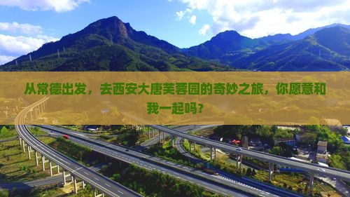 从常德出发，去西安大唐芙蓉园的奇妙之旅，你愿意和我一起吗？