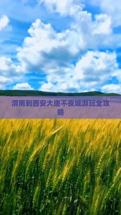 渭南到西安大唐不夜城游玩全攻略