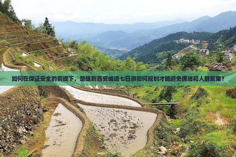 如何在保证安全的前提下，楚雄到西安城墙七日游如何规划才能避免拥堵和人群聚集？