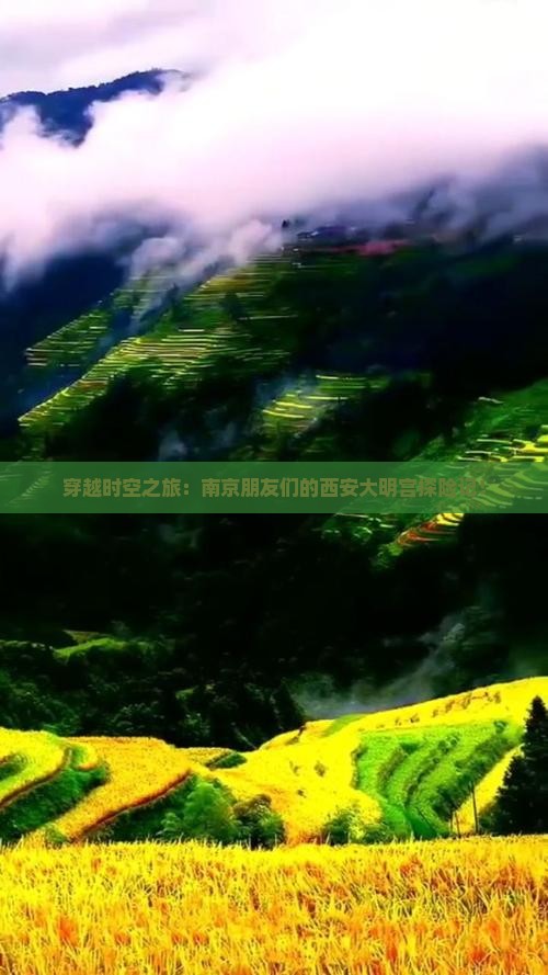 穿越时空之旅：南京朋友们的西安大明宫探险记！