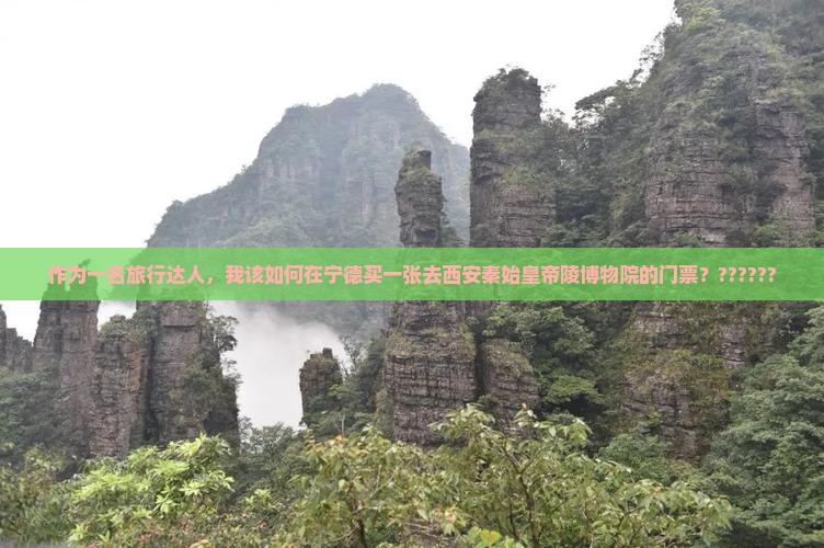 作为一名旅行达人，我该如何在宁德买一张去西安秦始皇帝陵博物院的门票？??????