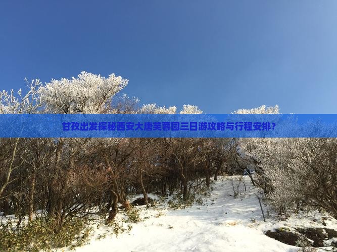 甘孜出发探秘西安大唐芙蓉园三日游攻略与行程安排？