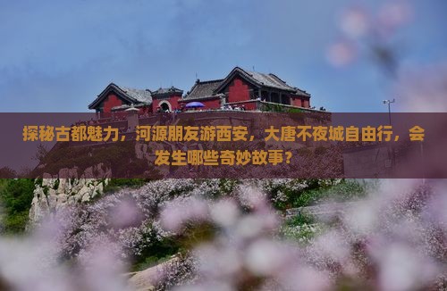 探秘古都魅力，河源朋友游西安，大唐不夜城自由行，会发生哪些奇妙故事？