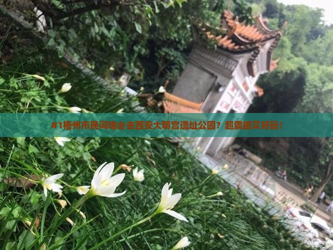 #1梧州市民问啥必去西安大明宫遗址公园？超震撼又好玩！
