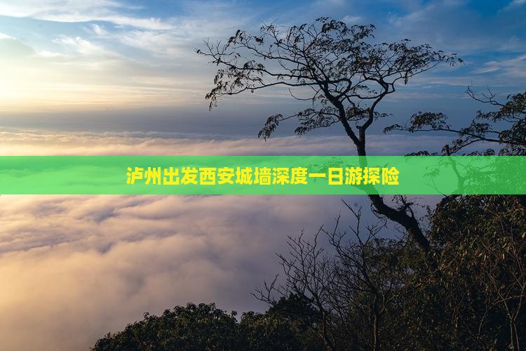 泸州出发西安城墙深度一日游探险