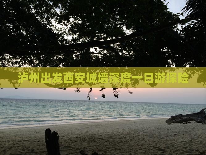 泸州出发西安城墙深度一日游探险