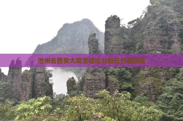 池州去西安大明宫遗址公园五日游路线