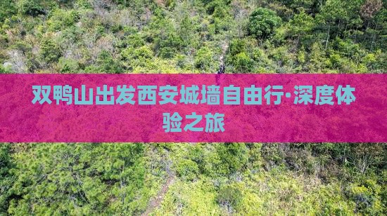双鸭山出发西安城墙自由行·深度体验之旅