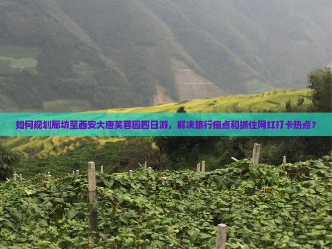 如何规划廊坊至西安大唐芙蓉园四日游，解决旅行痛点和抓住网红打卡热点？