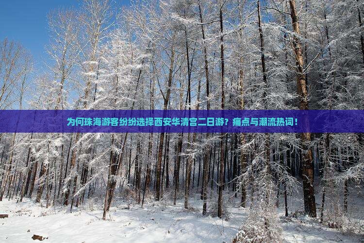 为何珠海游客纷纷选择西安华清宫二日游？痛点与潮流热词！