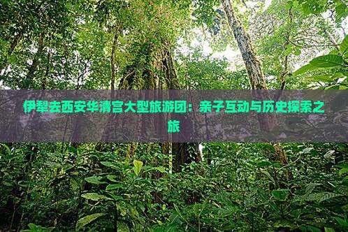 伊犁去西安华清宫大型旅游团：亲子互动与历史探索之旅