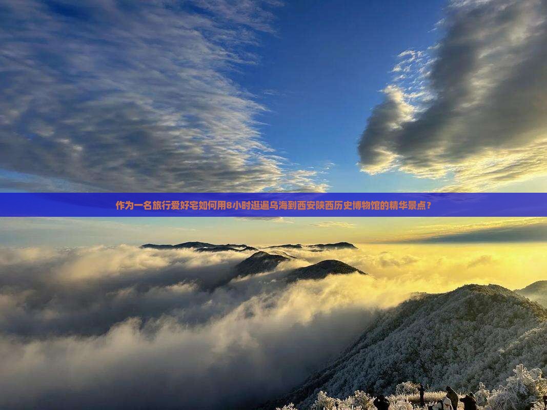 作为一名旅行爱好宅如何用8小时逛遍乌海到西安陕西历史博物馆的精华景点？