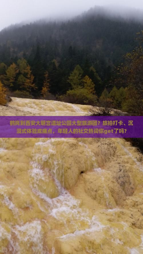 鹤岗到西安大明宫遗址公园大型旅游团？旅拍打卡、沉浸式体验成痛点，年轻人的社交热词你get了吗？