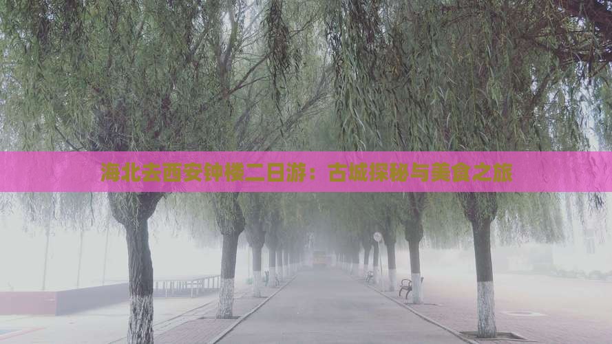 海北去西安钟楼二日游：古城探秘与美食之旅