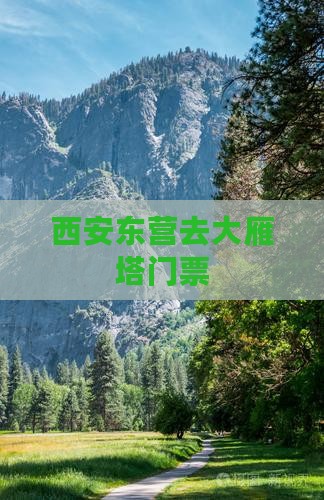 西安东营去大雁塔门票