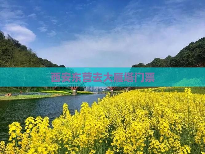 西安东营去大雁塔门票
