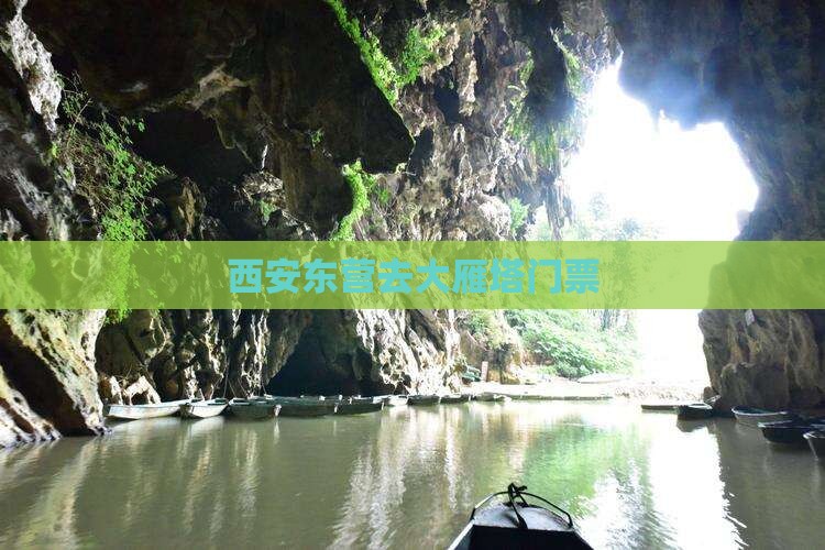 西安东营去大雁塔门票