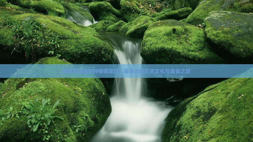阿泰勒去西安钟楼哪里玩：探寻古城历史文化与美食之旅