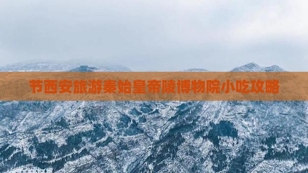 节西安旅游秦始皇帝陵博物院小吃攻略
