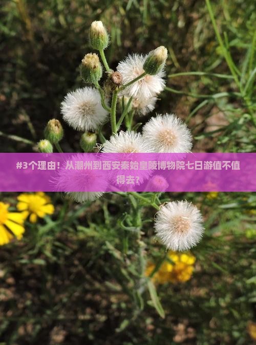 #3个理由！从潮州到西安秦始皇陵博物院七日游值不值得去？