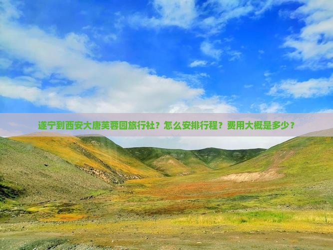 遂宁到西安大唐芙蓉园旅行社?怎么安排行程?费用大概是多少? 遂宁到西安大唐芙蓉园旅行社?怎么安排行程?费用大概是多少?