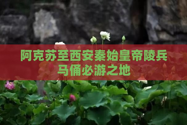 阿克苏至西安秦始皇帝陵兵马俑必游之地 阿克苏至西安秦始皇帝陵兵马俑必游之地