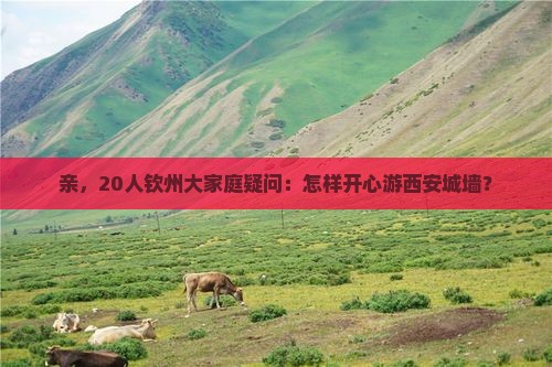 亲，20人钦州大家庭疑问：怎样开心游西安城墙？