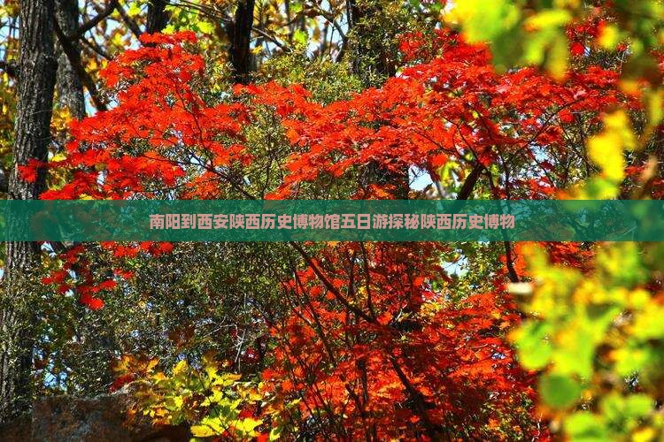 南阳到西安陕西历史博物馆五日游探秘陕西历史博物