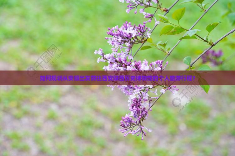 如何规划从安顺出发前往西安陕西历史博物馆的个人旅游行程？