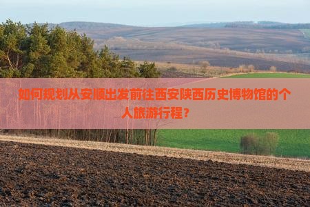 如何规划从安顺出发前往西安陕西历史博物馆的个人旅游行程？