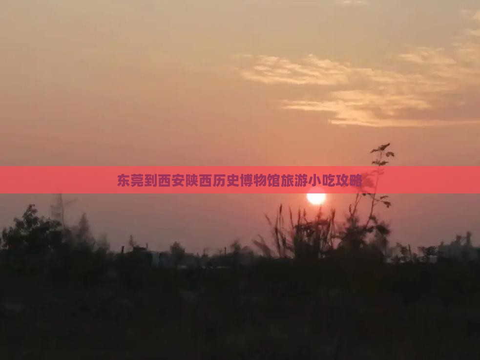 东莞到西安陕西历史博物馆旅游小吃攻略