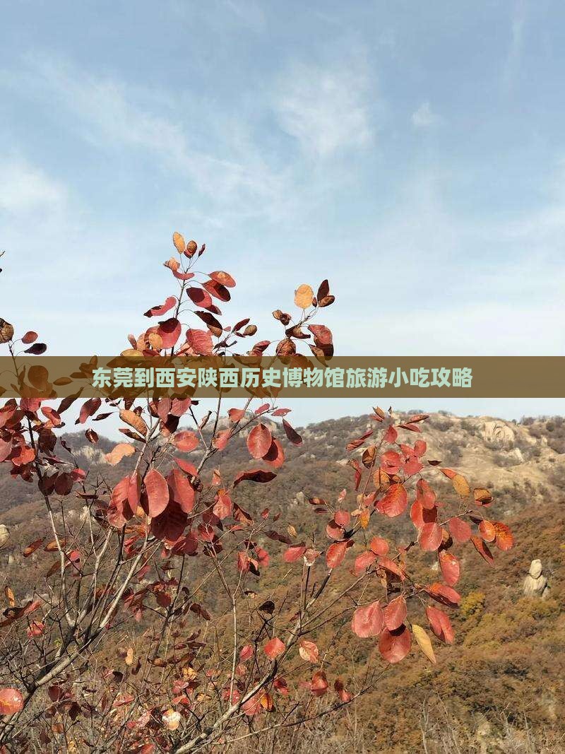 东莞到西安陕西历史博物馆旅游小吃攻略