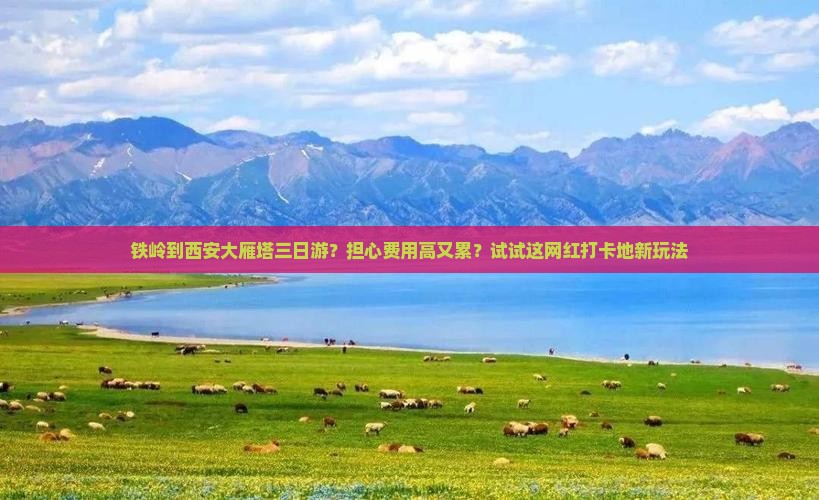 铁岭到西安大雁塔三日游？担心费用高又累？试试这网红打卡地新玩法