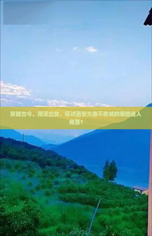 穿越古今，菏泽出发，探访西安大唐不夜城的哪些迷人角落？