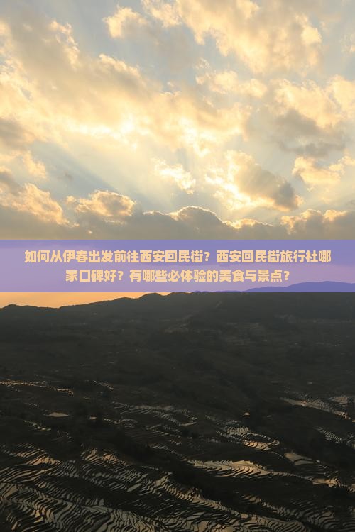 如何从伊春出发前往西安回民街？西安回民街旅行社哪家口碑好？有哪些必体验的美食与景点？