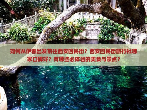 如何从伊春出发前往西安回民街？西安回民街旅行社哪家口碑好？有哪些必体验的美食与景点？