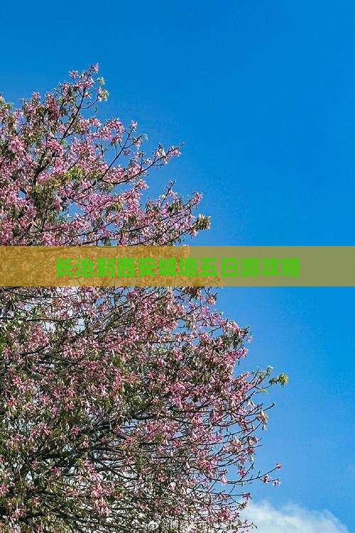 长治到西安城墙五日游攻略