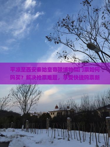 平凉至西安秦始皇帝陵博物院门票如何购买？解决抢票难题，享受快捷购票新体验！