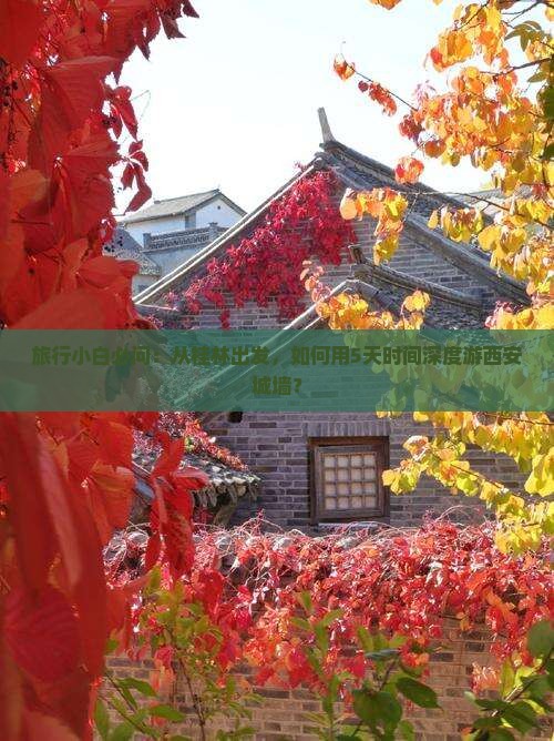 旅行小白必问：从桂林出发，如何用5天时间深度游西安城墙？