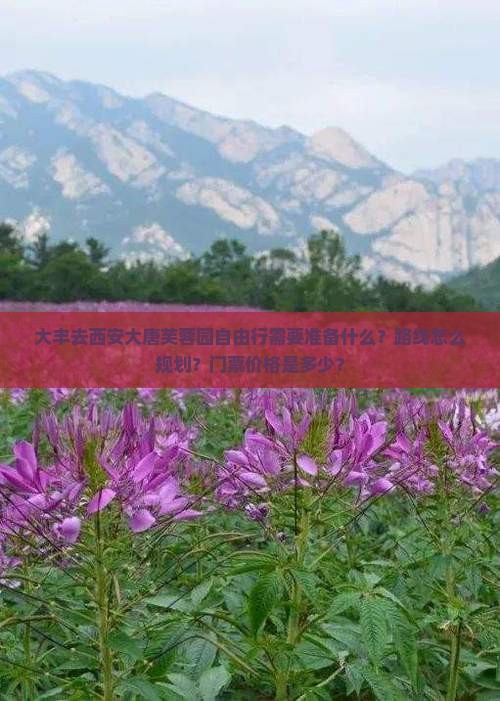 大丰去西安大唐芙蓉园自由行需要准备什么？路线怎么规划？门票价格是多少？