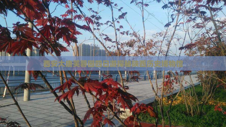 西安大唐芙蓉园四日游探秘陕西历史博物馆