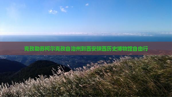 克孜勒苏柯尔克孜自治州到西安陕西历史博物馆自由行