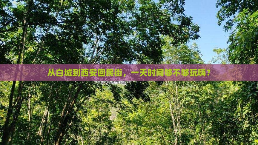从白城到西安回民街，一天时间够不够玩嗨？