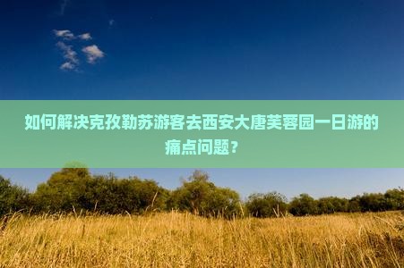 如何解决克孜勒苏游客去西安大唐芙蓉园一日游的痛点问题？