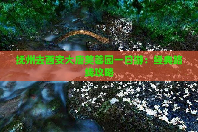抚州去西安大唐芙蓉园一日游：经典路线攻略