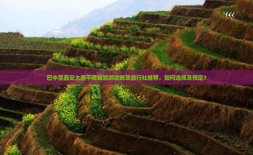 巴中至西安大唐不夜城旅游攻略及旅行社推荐，如何选择及预定？