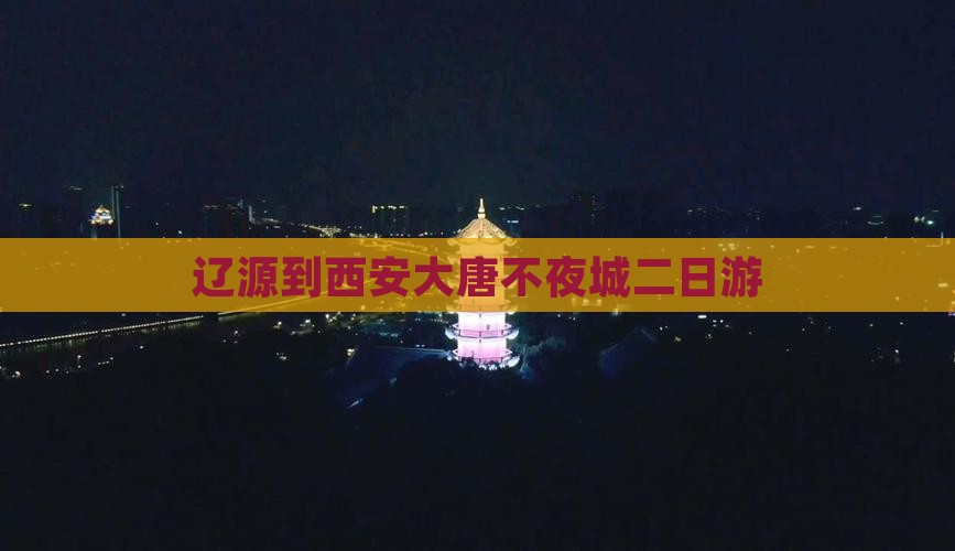 辽源到西安大唐不夜城二日游