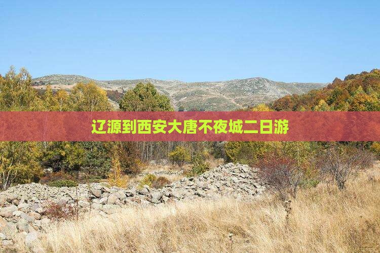 辽源到西安大唐不夜城二日游