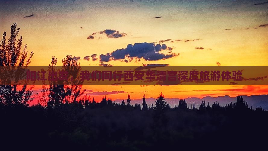 阳江出发，我们同行西安华清宫深度旅游体验
